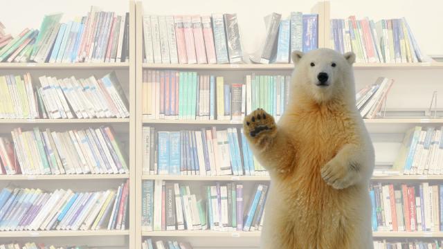 A polar bear waving in front of a bookshelf filled with colorful books